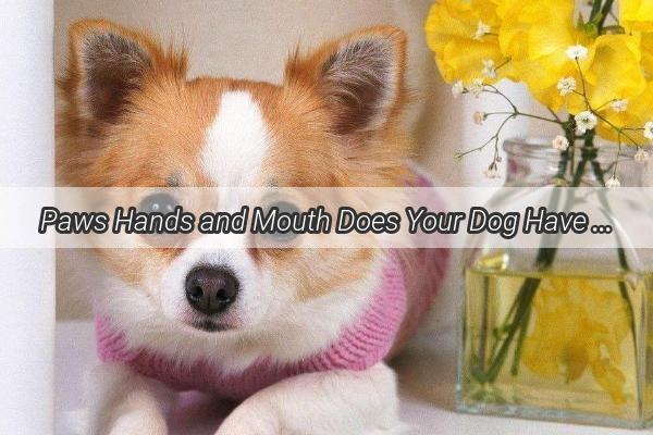 Paws Hands and Mouth Does Your Dog Have Hand Foot and Mouth Disease Too